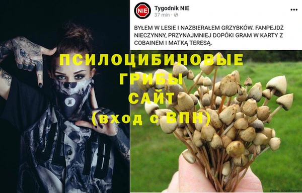 ALPHA-PVP Алексеевка