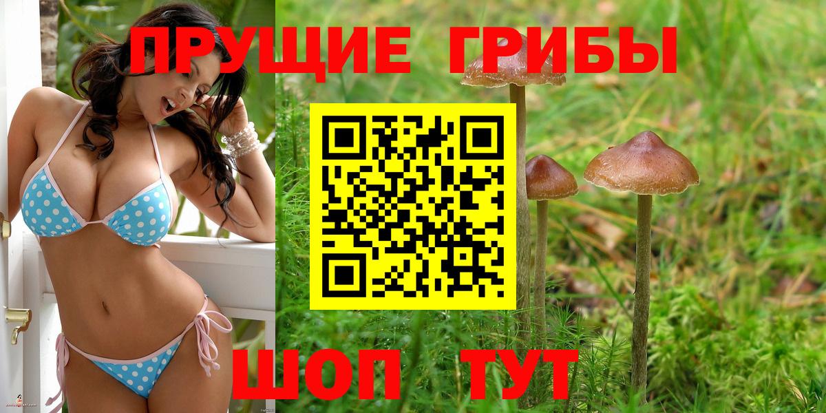 Псилоцибиновые грибы MAGIC MUSHROOMS  Вход с VPN  Чебоксары  Галлюциногенные грибы Psilocybe 