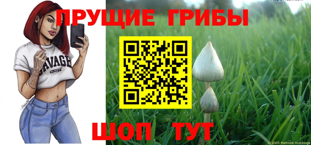 Галлюциногенные грибы Psilocybine cubensis Чебоксары